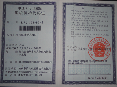 洪亮組織機(jī)構(gòu)代碼證