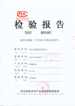 閘閥檢驗(yàn)報(bào)告01