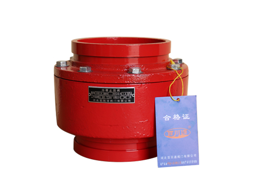 H81X溝槽消聲止回閥